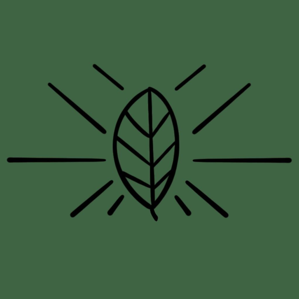 digital marketing agency Portland