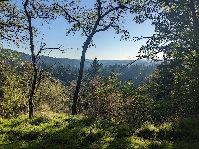 Iron Mountain Park in Lake Oswego, OR