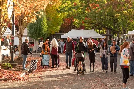A bustling outdoor farmers market on a sunny autumn day, with numerous people browsing vendor stalls under colorful trees shedding leaves.