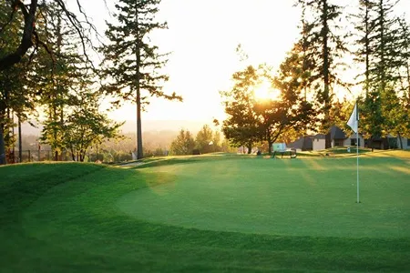 A picturesque golf course green with a white flag on a sunny day. Tall trees surround the green, and the sun shines brightly through the branches in the distance.