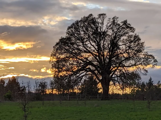 Graham Oaks Nature Park