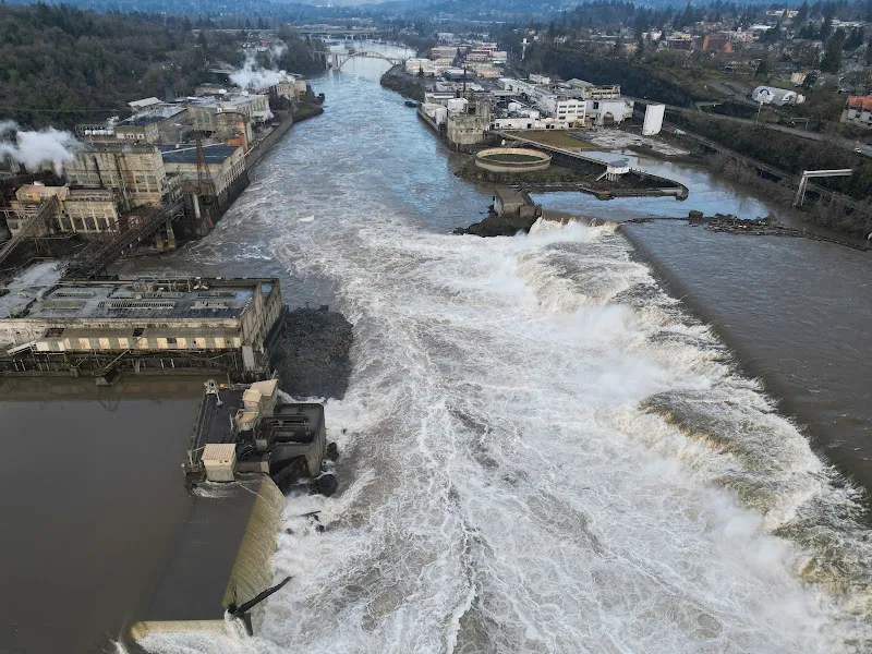 Willamette Falls
