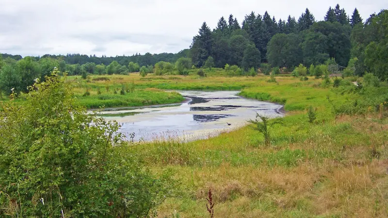 Ridgefield National Wildlife Refuge (1)