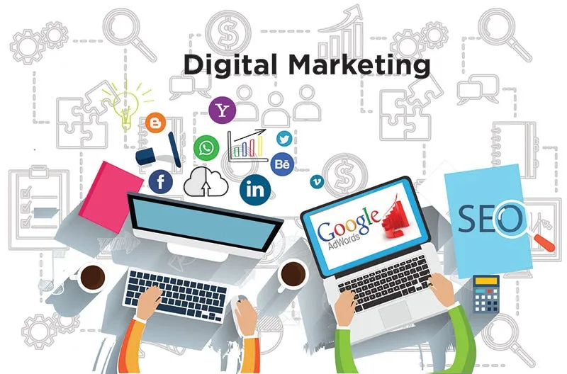 Why Choose Plant Powered Marketing
